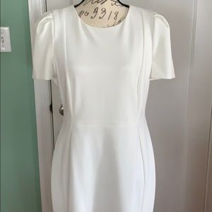 Calvin Klein Winter White Short Sleeve Dress